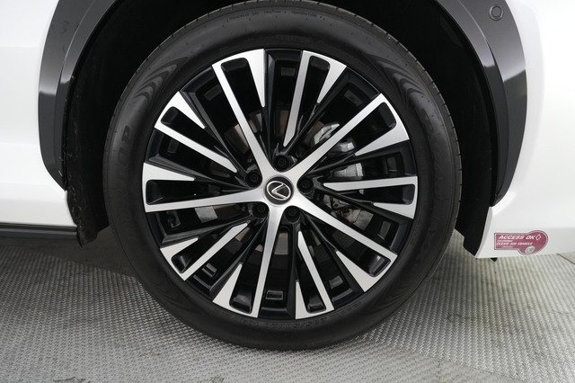 2023 Lexus RZ