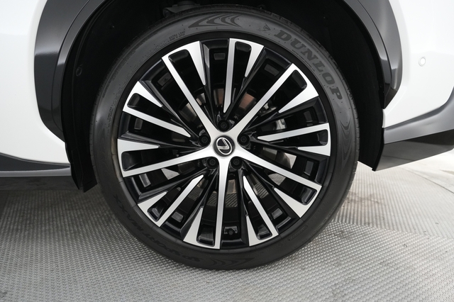 2023 Lexus RZ