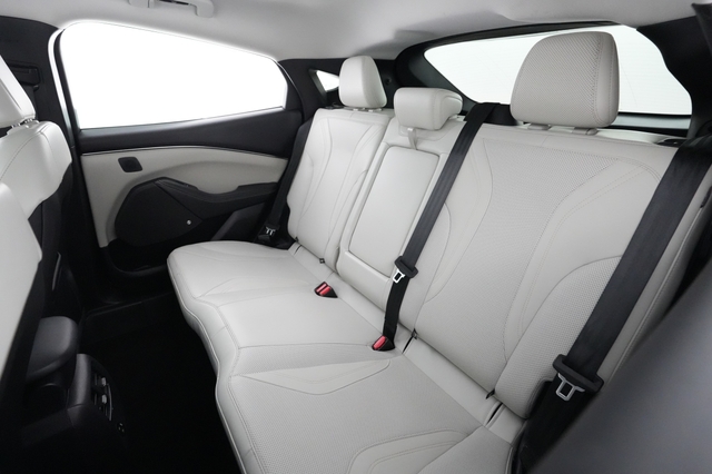 2021 Ford Mustang Mach-E