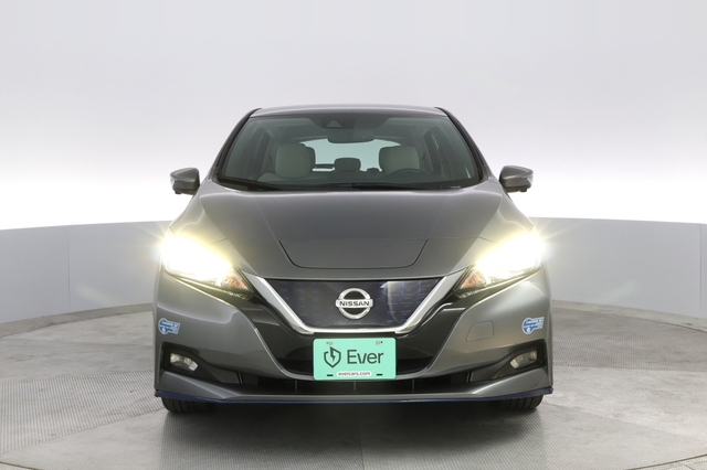 2020 Nissan LEAF