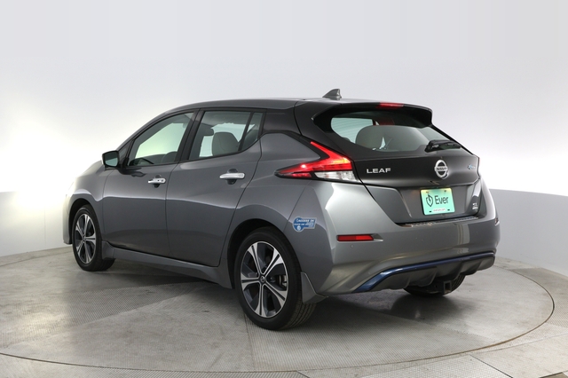 2020 Nissan LEAF