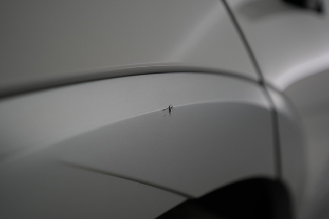 2023 Hyundai IONIQ 5