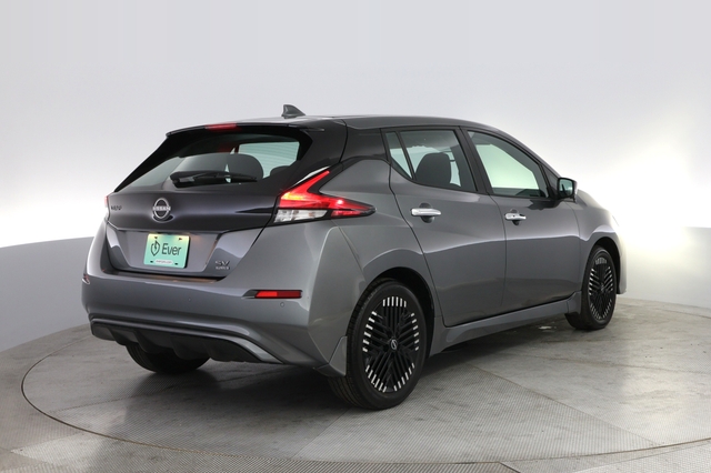 2024 Nissan LEAF