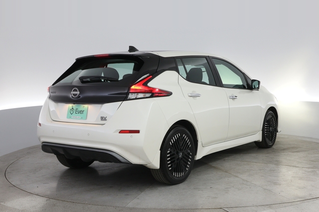 2024 Nissan LEAF