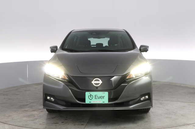 2024 Nissan LEAF