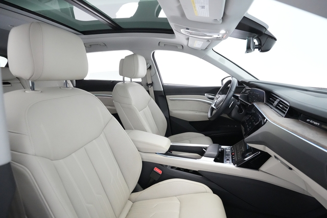 2019 Audi e-tron