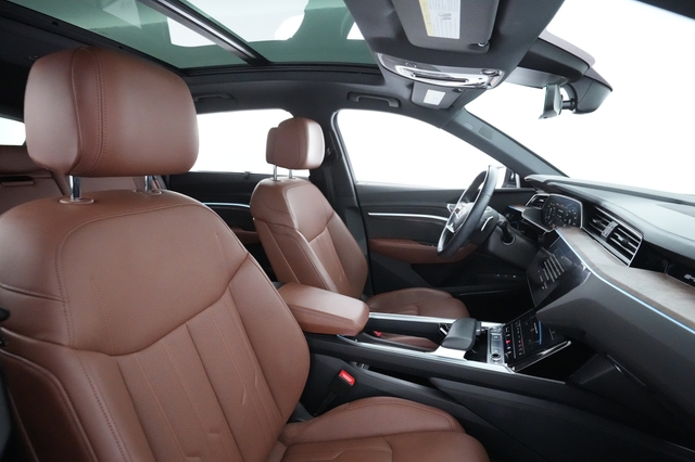 2019 Audi e-tron