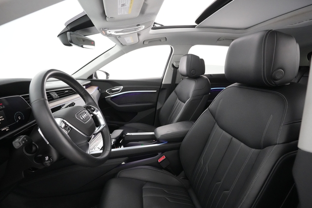 2019 Audi e-tron