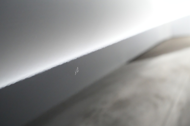 2022 Polestar 2