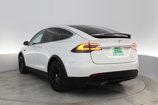 2019 Tesla Model X