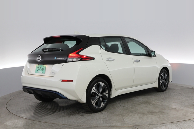 2020 Nissan LEAF