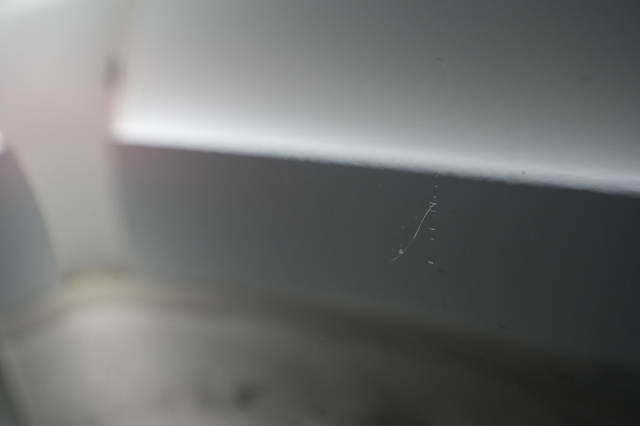 2022 Tesla Model S
