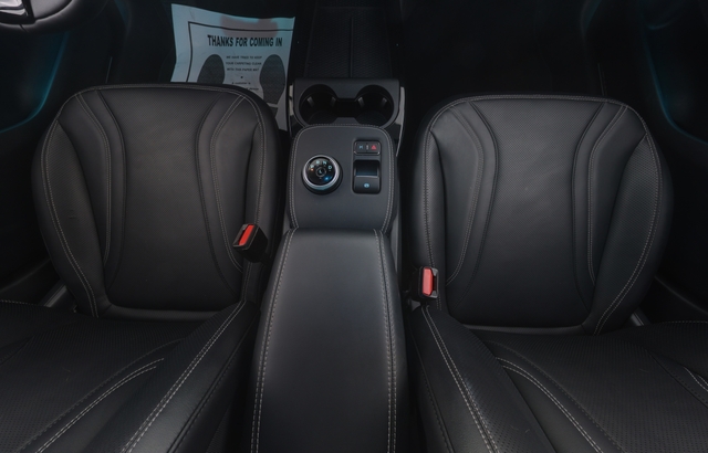 2021 Ford Mustang Mach-E