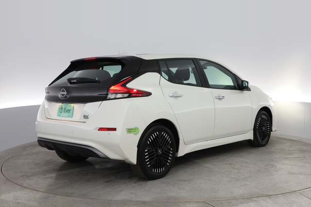 2024 Nissan LEAF
