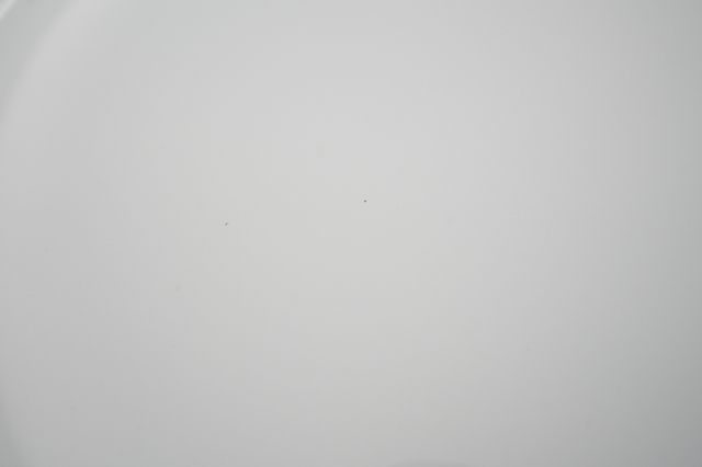 2021 Volkswagen ID.4