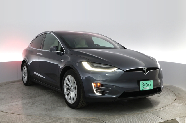2020 Tesla Model X